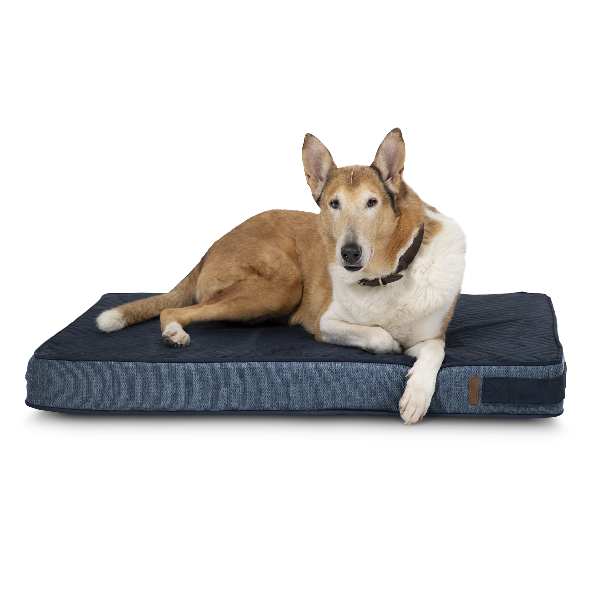 Bella Blue Large Foam Lounger Dog Bed - Bark & Slumber