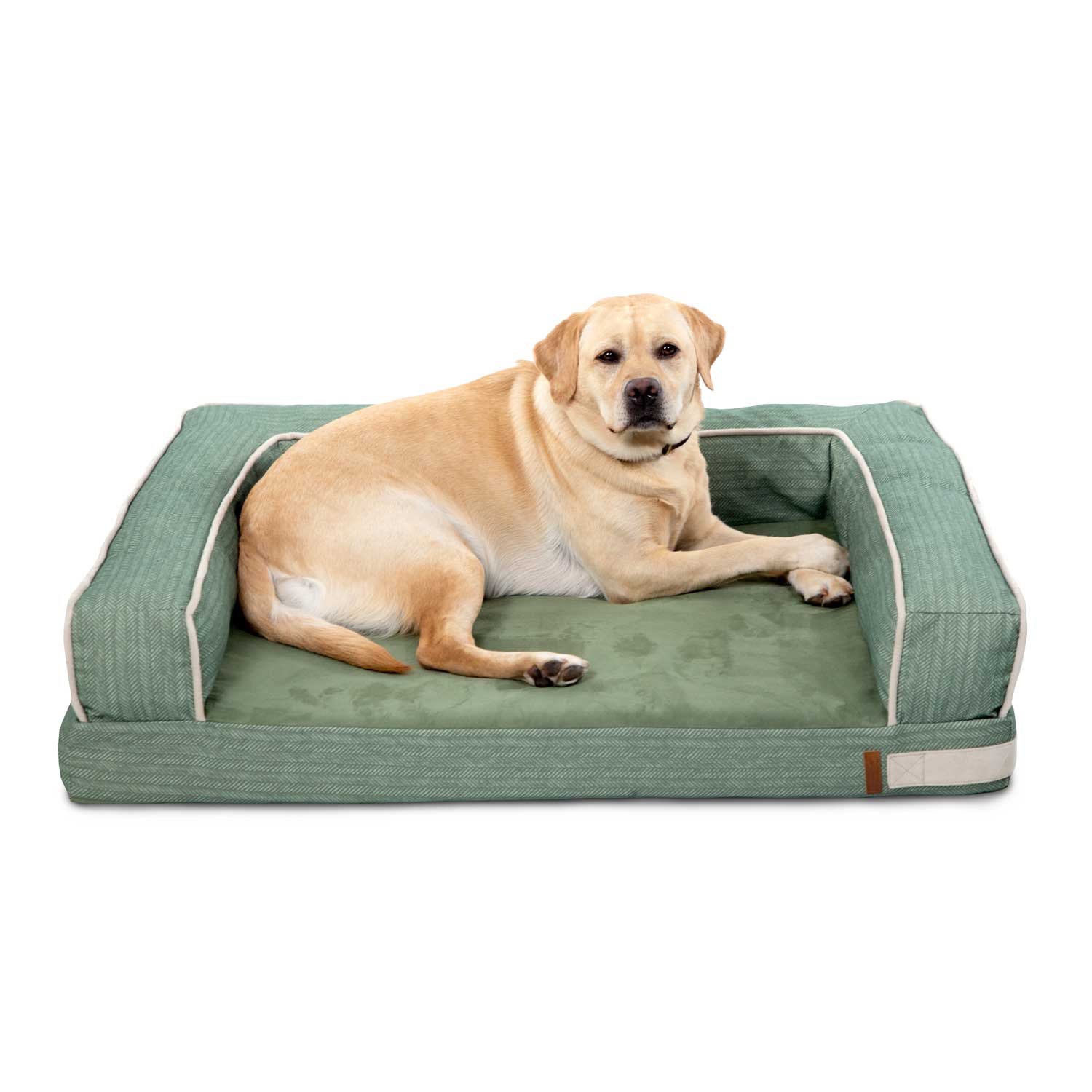 Ollie Green Large Foam Sofa Style Dog Bed - Bark & Slumber