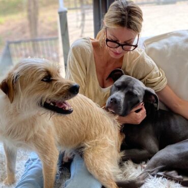 foster dogs and their foster mom